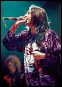 > frontman Chris Robinson <